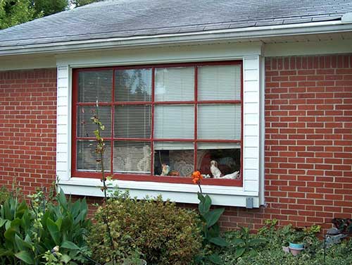 Home Windows Replacement, Little Rock, AR